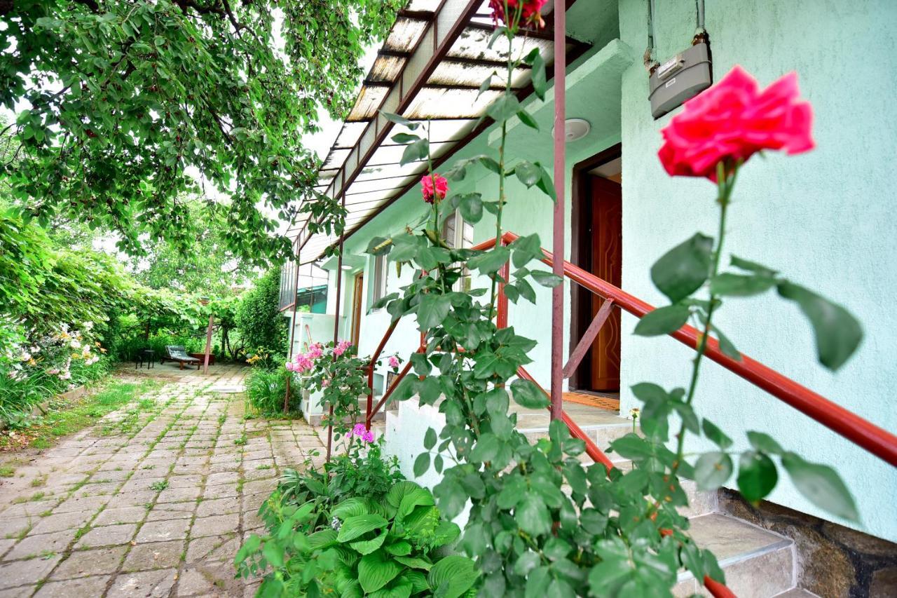 Case de vacanță Flh - House Angelique Sibiu